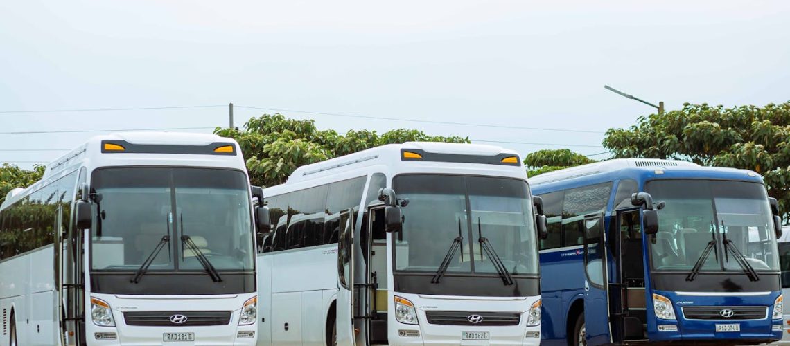 pexels-safi-erneste-165511538-18029643 (1)